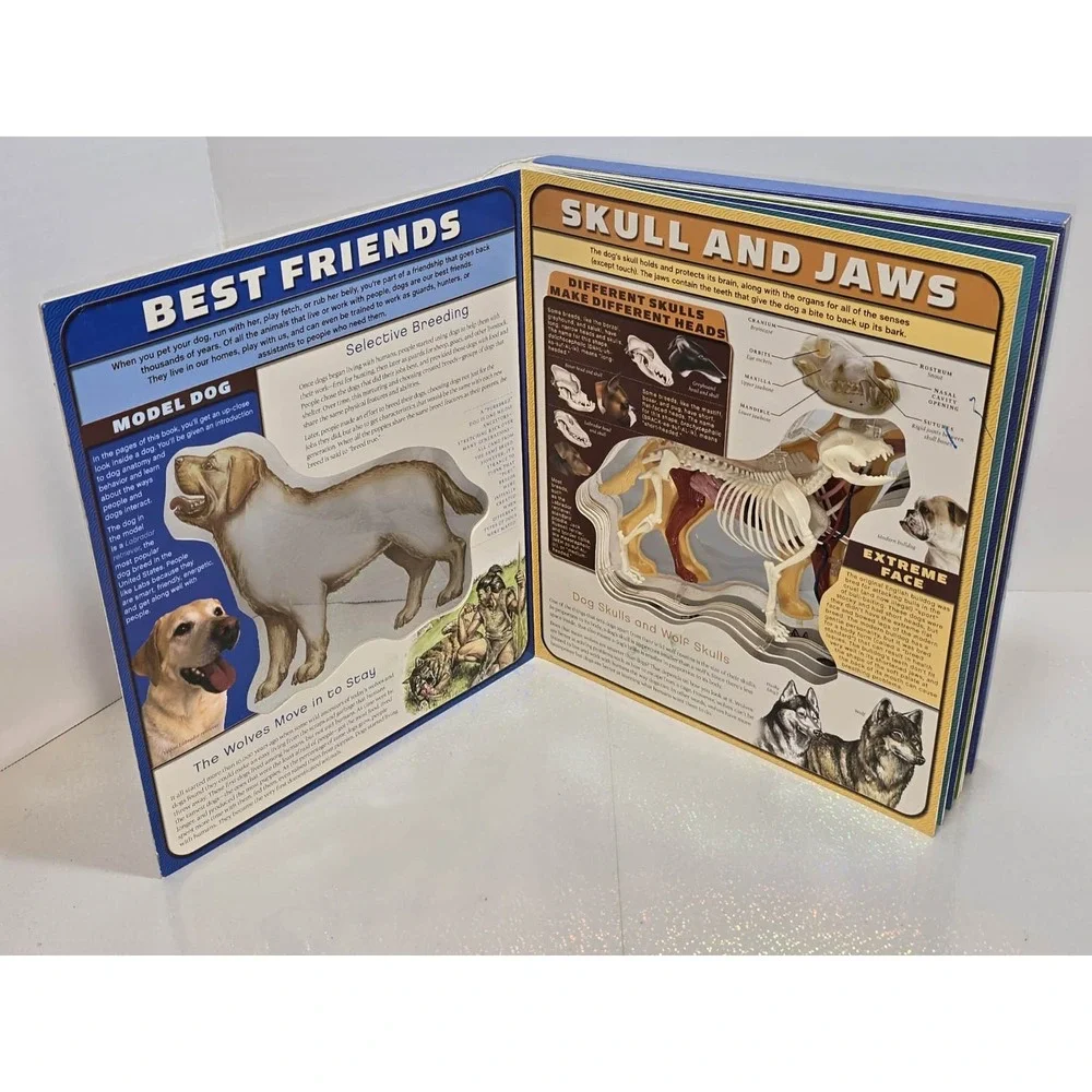Uncover a Dog 3D Anatomy Book by Paul Beck EUC Educational‎ 🐶📘